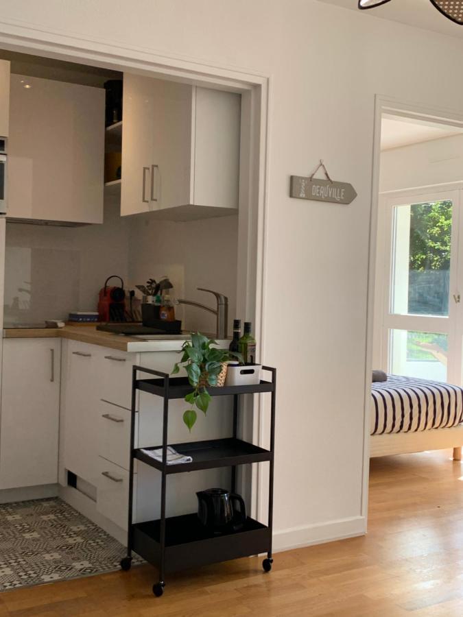 Trouville, Appartement Renove Avec Grande Terrasse Au Calme Eksteriør billede