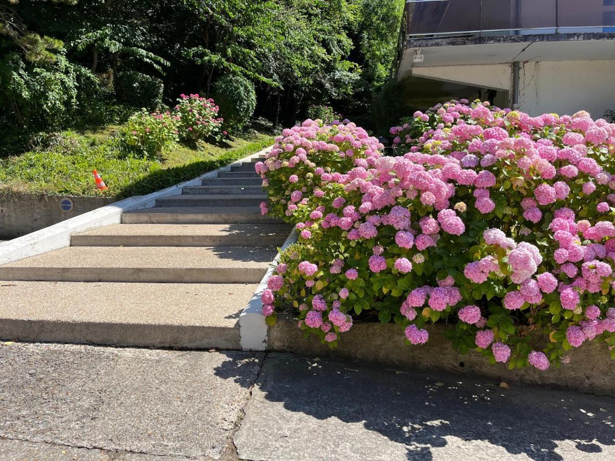Trouville, Appartement Renove Avec Grande Terrasse Au Calme Eksteriør billede